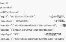 H5微信支付之引入微信的js-sdk包失败的解决方法