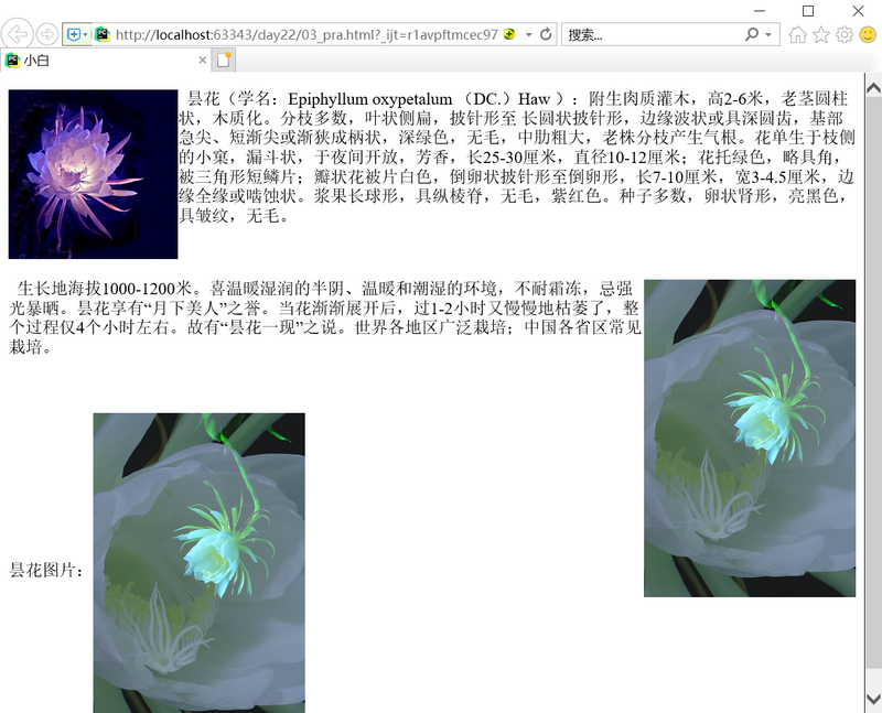 HTML中文字標籤,超連結標籤以及圖像標籤的簡單介紹
