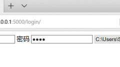 Flask application (form processing) in python