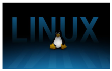 如何在Linux上编译和运行C和C++程序