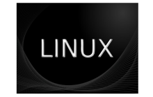 Linux nslookup命令帮助和DNS查找示例