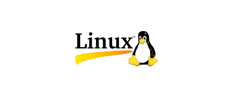 如何使用SSH连接远程Linux服务器