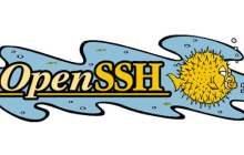 如何在Ubuntu和LinuxMint上安装或更新OpenSSH服务器