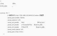 vue代理模式nginx配置的介绍