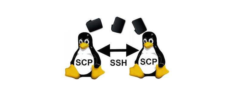 如何使用Linux中的SCP命令安全地传输文件