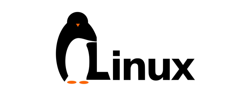 使用Linux終端獲取公共IP的5個命令-小浪學習網