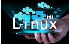 Linux cut命令的用法介绍