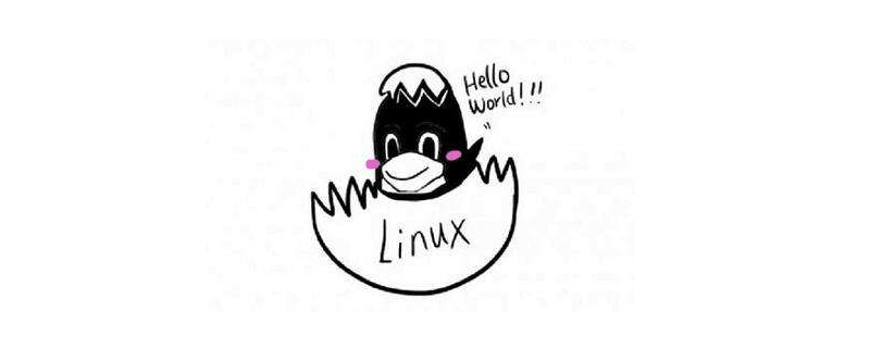 如何在Linux shell脚本中提示用户输入