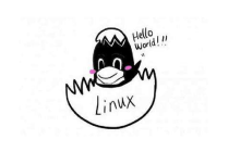 如何在Linux shell脚本中提示用户输入