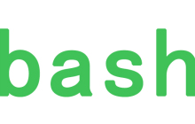 在bash shell脚本中使用for循环