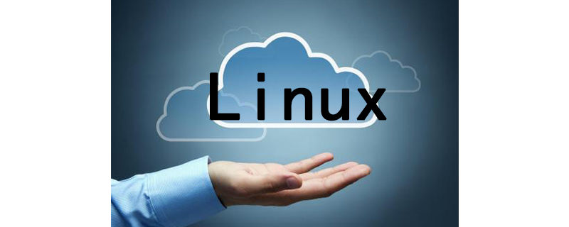 如何安装Linux恶意软件检测的程序