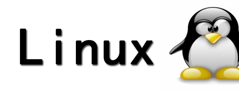 如何在Linux上启用IP转发