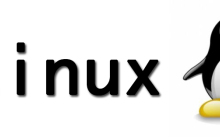 如何在Linux上启用IP转发