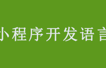 小程序开发可以用什么语言？