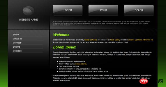 reality-software-xhtml-css-template