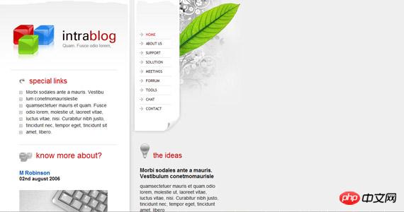 intrablog-xhtml-css-template