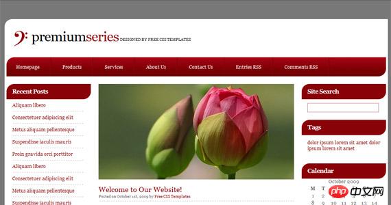 premium-series-css-xhtml-template