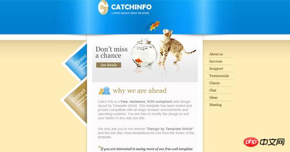catchinfo-css-xhtml-template