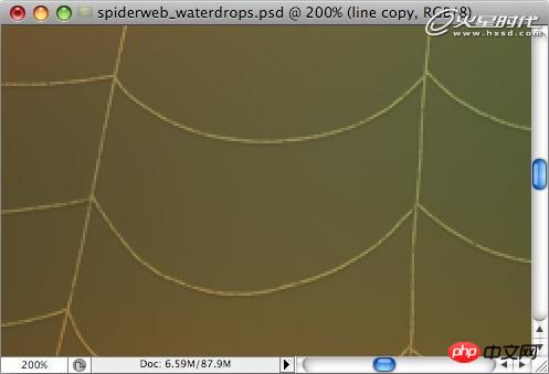 Photoshop打造挂满露珠的蜘蛛网