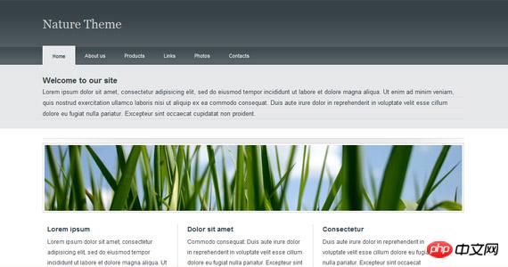 nature-theme-xhtml-css-template