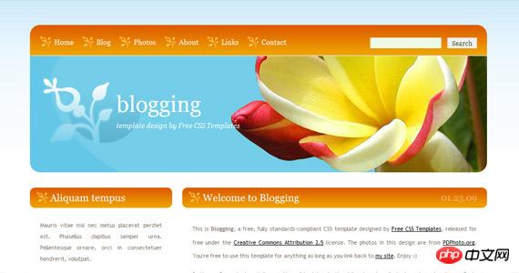 blogging-css-xhtml-template