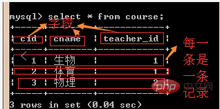 Mysql數據庫的庫表的操作介紹（代碼示例）-小浪學習網