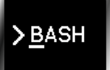 linux bash中too many arguments问题的解决方法