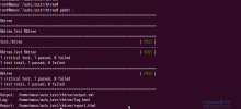 Detailed explanation of Zend Framework filter Zend_Filter usage