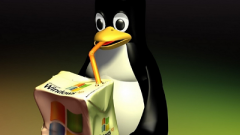 Detailed explanation and usage examples of Linux netstat command (display various network-related information)