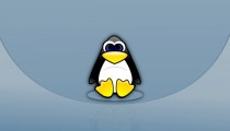 Linux设置和查看环境变量的方法