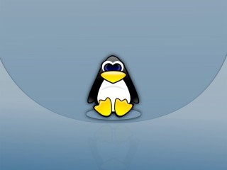 Linux设置和查看环境变量的方法