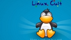 Linux systems find and kill zombie processes