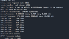 PHP request Socket interface test example
