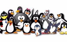 7个Linux新手容易犯的错误