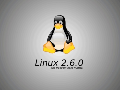 Use the nohup command to run Linux programs in the background