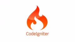 Analysis of the steps and methods of dependency packages installed by CI framework using composer