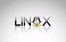 Linux僵死进程查看和解决