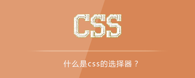 Css怎么让字体加粗 Html中文网