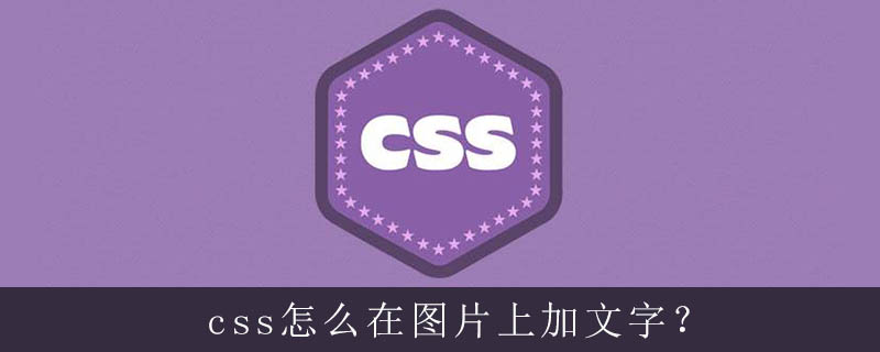 Css怎么在图片上加文字 Html中文网