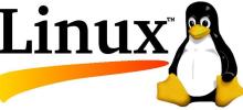 Detailed explanation of the commands and parameters for tar compression and decompression of folders under Linux