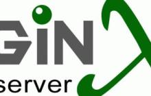 nginx访问web界面验证