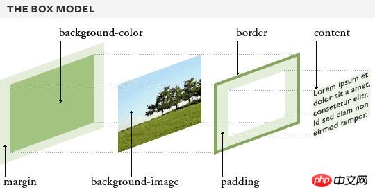 关于CSS padding margin border属性的详细说明