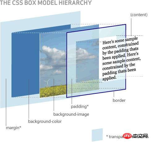 关于CSS padding margin border属性的详细说明