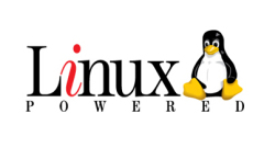Detailed explanation of Netstat command in Linux