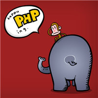 php mysql扩展SQL查询中文字段名解决方法