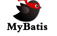 mybatis的一些细节问题