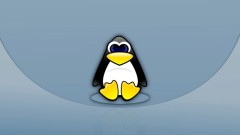 How to enter the MySQL command line under Linux