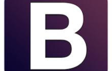 BootStrap中<li role=