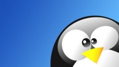 How to decompress .tar.gz .tar.bz2 command under linux