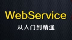 Introduction, principle and use of WebService